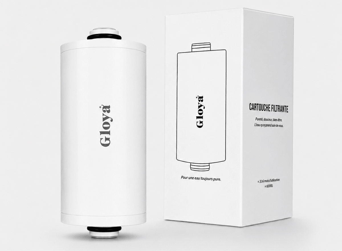Filtre de douche Gloya et sa cartouche filtrante avec la boîte