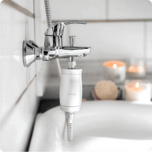 FILTRE DE DOUCHE GLOYA